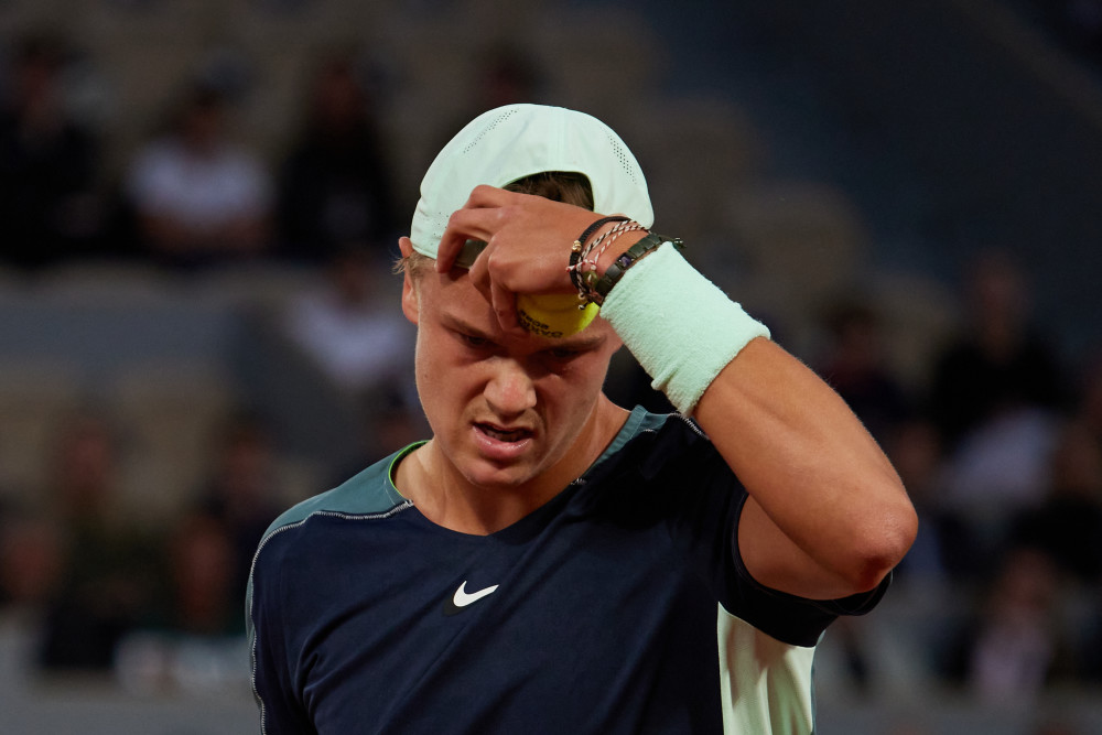 球迷们已经 球迷们已经