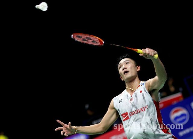 足坛的认可 足坛的认可